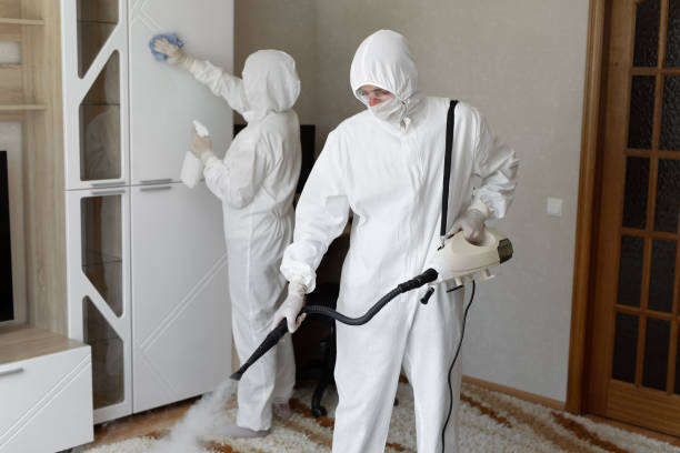 24/7 Emergency Odor Removal experts in Mentone, CA